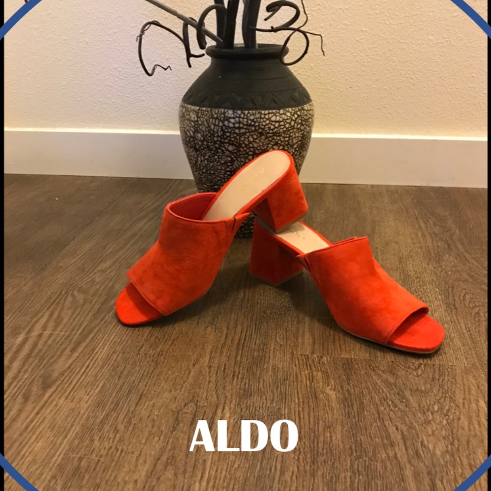 Aldo Suede Block Heel  Slides